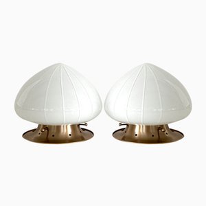 Italian Ceiling Lights by La Murrina Murano, 1970s, Set of 2-VNE-2018157