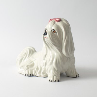 Italian Ceramic Dog Money Box from Il Quadrifoglio, 1960s-IXK-1189186