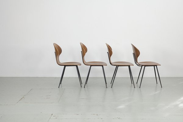 Italian Chairs by Carlo Ratti for Industria Legni Curvati, 1950s, Set of 4-AA-1802887