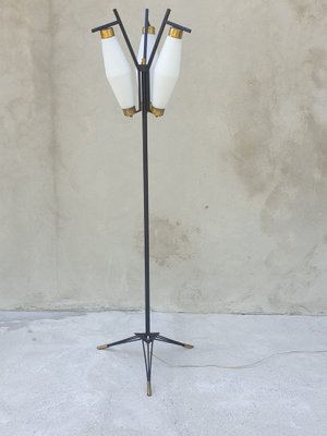 Italian Floor Lamp from Stilnovo, 1950s-HZ-1405261