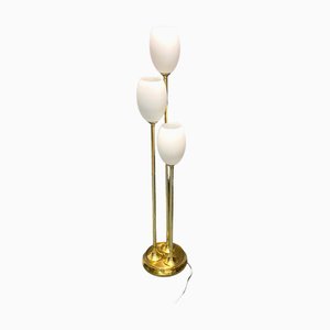 Italian Floor Lamp in Brass and Opaline Glass, 1980s-JJC-1447076