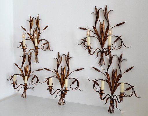 Italian Gilt Tole Wall Sconces with Wheat Sheaf, 1950s, Set of 5-VNE-966139