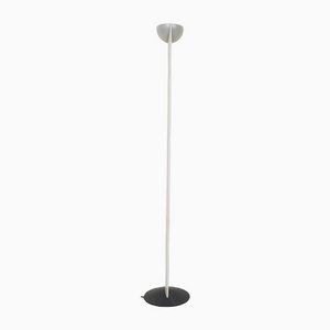 Italian Halogen Adonis Floor Lamp by Gianfranco Frattini, 1980s-ZO-1109757