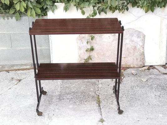 Italian Magazine Rack Trolley in Fur Wood with Metal Wheels, 1970s-RAQ-1057475