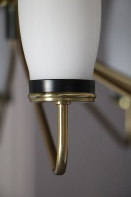 Italian Mid-Century Modern Ten Light Chandelier Attributed to Stilnovo, 1950s-MTX-1132629