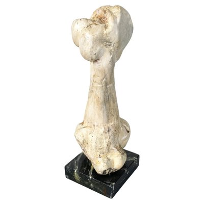 Italian Modern Wooden Sculpture of a Bone by N. F. Puccio, 1990s-GDD-1781079