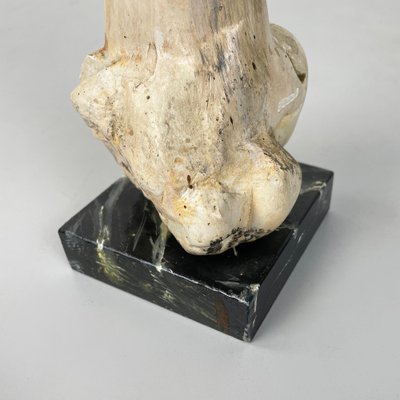 Italian Modern Wooden Sculpture of a Bone by N. F. Puccio, 1990s-GDD-1781079