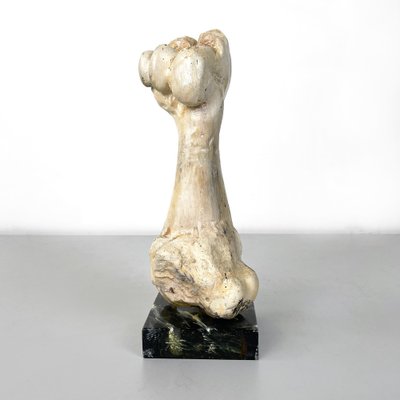 Italian Modern Wooden Sculpture of a Bone by N. F. Puccio, 1990s-GDD-1781079