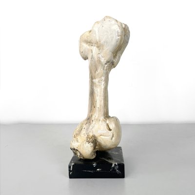 Italian Modern Wooden Sculpture of a Bone by N. F. Puccio, 1990s-GDD-1781079