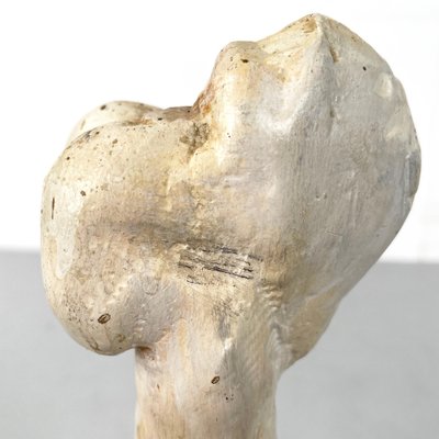 Italian Modern Wooden Sculpture of a Bone by N. F. Puccio, 1990s-GDD-1781079