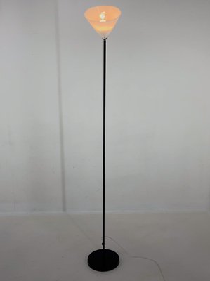 Italian Murano Glass and Metal Floor Lamp, 1970s-TZ-1736492