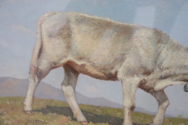 Italian Oil on Board with Calf by Alberto Cecconi-DCO-1028357