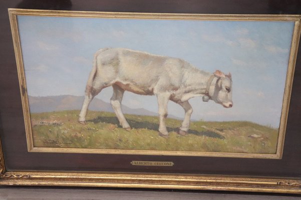 Italian Oil on Board with Calf by Alberto Cecconi-DCO-1028357