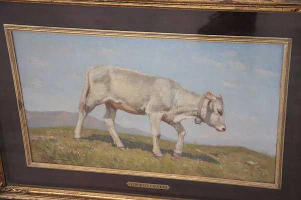 Italian Oil on Board with Calf by Alberto Cecconi-DCO-1028357