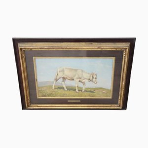 Italian Oil on Board with Calf by Alberto Cecconi-DCO-1028357