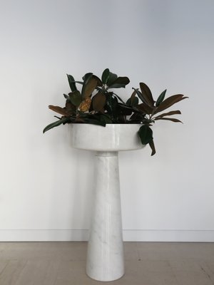 Italian Planter in Carrara Marble by Angelo Mangiarotti for Fratelli Brambilla, 1960s-CC-2027692