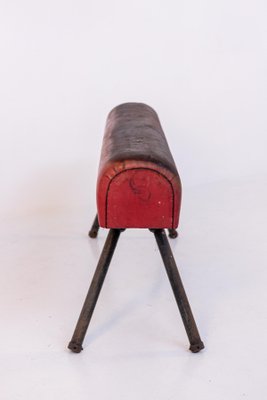 Italian Red Leather and Iron Gymnastic Horse-RCE-1099544