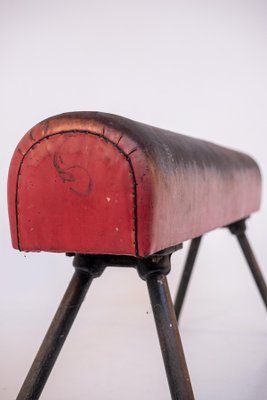 Italian Red Leather and Iron Gymnastic Horse-RCE-1099544