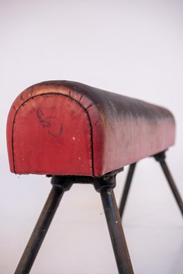 Italian Red Leather and Iron Gymnastic Horse-RCE-1099544