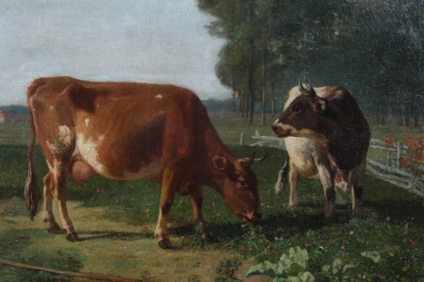 Jacquelart, Grazing Cows, 1890s, Oil on Canvas, Framed-ZLE-1450163