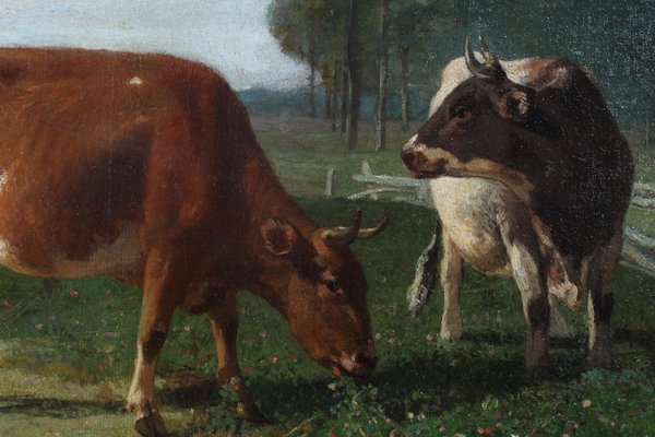 Jacquelart, Grazing Cows, 1890s, Oil on Canvas, Framed-ZLE-1450163