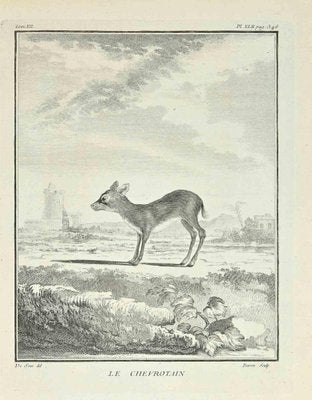 Jacques Baron, Le Chevrotain, Etching, 1771-ZCI-2029953