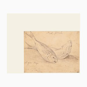 Jan Peter Verdussen - the Fish - Original Pencil On Paper - 1775 Ca.-ZCI-870926