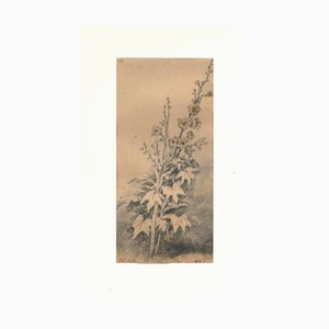 Jan Pieter Verdussen, Flora Study, Watercolor, Late 18th Century-ZCI-2029759