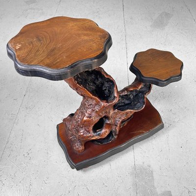 Japanese Burl Wood Plant Stand, 1920s-DWL-1702626