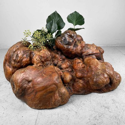 Japanese Decorative Burl Wood Decor, 1920s-DWL-1736953