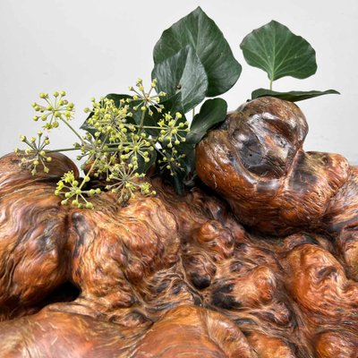 Japanese Decorative Burl Wood Decor, 1920s-DWL-1736953