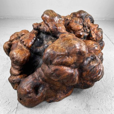 Japanese Decorative Burl Wood Decor, 1920s-DWL-1736953