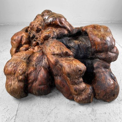 Japanese Decorative Burl Wood Decor, 1920s-DWL-1736953