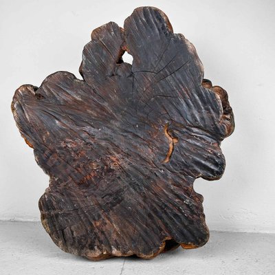 Japanese Decorative Burl Wood Decor, 1920s-DWL-1736953