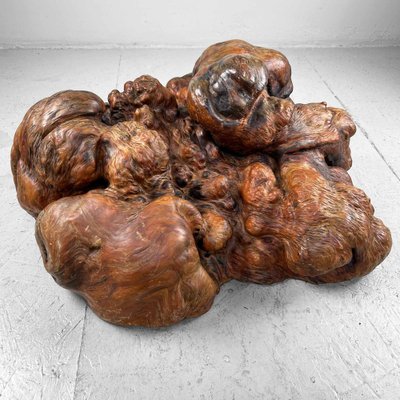 Japanese Decorative Burl Wood Decor, 1920s-DWL-1736953