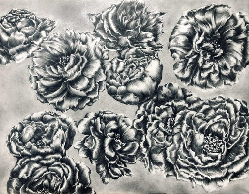 Japanese Drawing, Tomo Sakurai, Peony, 2020-CHG-958518