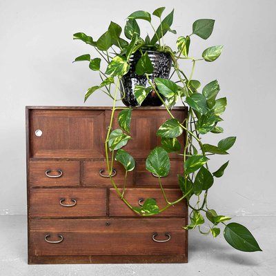 Japanese Traditional Tansu Storage Furniture, 1920s-DWL-2020363