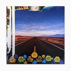 Jason Engelund, Flowers California Hwy 111 Salton Sea, Photograph, 2022-RMD-1444139