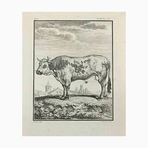 Jean Charles Baquoy, Le Chevreuil, Etching, 1771-ZCI-2030092