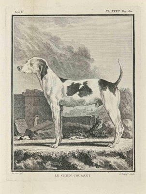 Jean Charles Baquoy, Le Chien Courant, Etching, 1771-ZCI-2029861