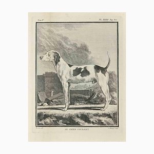 Jean Charles Baquoy, Le Chien Courant, Etching, 1771-ZCI-2029861