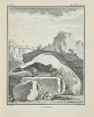 Jean Charles Baquoy, Le Chincher, Etching, 1771-ZCI-2029814