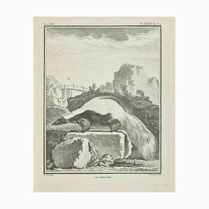 Jean Charles Baquoy, Le Chincher, Etching, 1771-ZCI-2029814