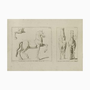 Jean François Poletnich, Study of Horse, Plate 80, Etching, 18th Century-ZCI-2029376