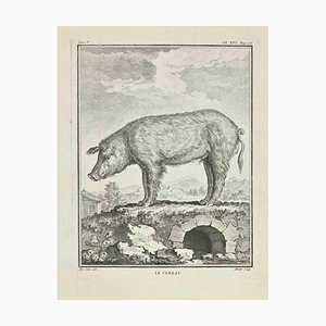 Jean Moitte, Le Verrat, Etching, 1771-ZCI-2030091