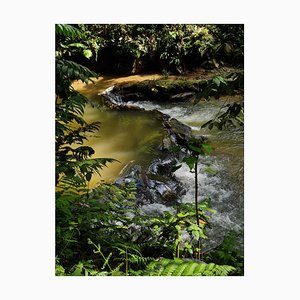 Jess Hon, Beautiful Stream at the Edge, 2020, Photographic Print-CHG-2036984