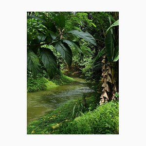 Jess Hon, Beautiful Stream in Melawati, 2021, Photographic Print-CHG-2030207