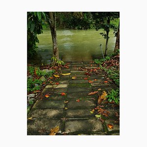 Jess Hon, Colorful Walkway to the Stream, 2022, Photographic Print-CHG-2036981