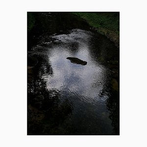 Jess Hon, Island in the Stream, 2022, Photographic Print-CHG-2030213