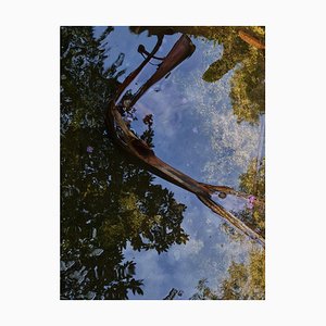 Jess Hon, Reflections, 2022, Photographic Print-CHG-2036976